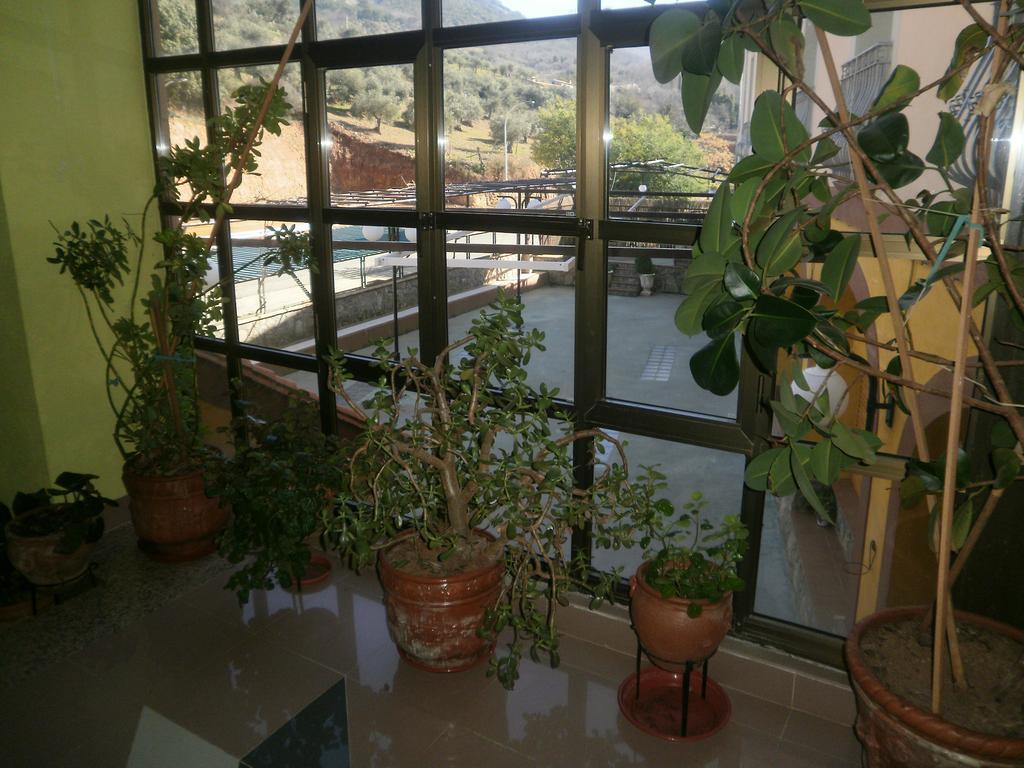 Hostal Restaurante Solaire Castañar de Ibor Buitenkant foto